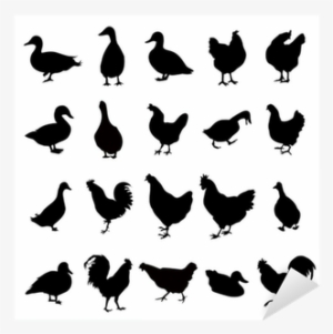 Duck Chicken Silhouettes Sticker Pixers We Live - Chicken #2699211