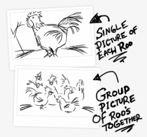 Here's The Two Kinds Of Pictures We Need From You - Rooster #2699215