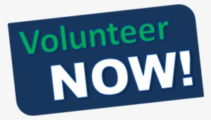 Volunteer Now 486267 - Call To Action Transparent #2699375