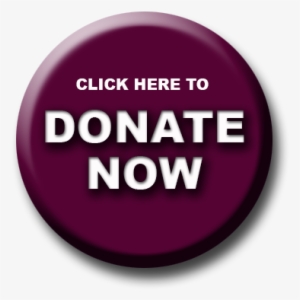 Arizona Basketball Academy Camp - Ionic Animation #2699473