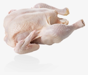 Kampung Chicken Whole #2699518