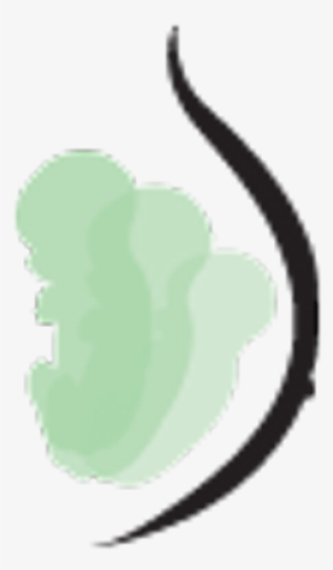 Fetal Growth Chart - Illustration #2699575