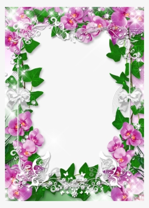 Photo Frame With Flowers Orchid Favorite Png 914 1280 - Orchid Flower Frame Png #270077