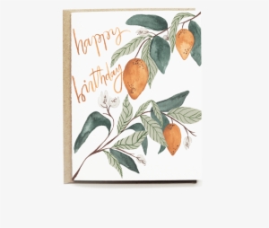 Lemons Happy Birthday Card - Greeting Card #270176