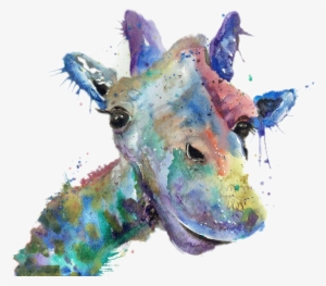 Jamie T Illustrator #270758