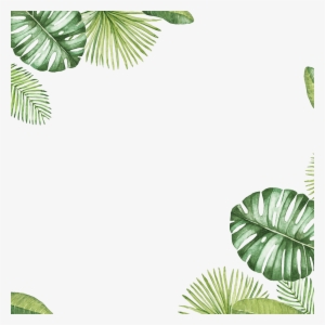 Transparent Background Leaf Border #270913