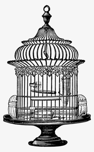 Watercolor Flower Birdcage Clipart By Bohemiangardens - Vintage Bird Cage Drawing #270955