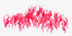 06 Feb 2009 - Portable Network Graphics #271000