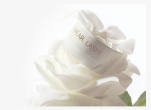 Data/pav Layers Slider/world Class/lashes - Eyelash Extensions #271077