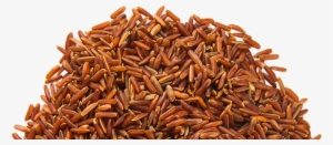 Clipart Library Library Png Transparent Images Pluspng - Brown Rice Transparent Png #271082