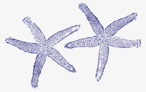 Navy Blue Twin Starfish Clip Art At Clker - Navy Blue Starfish Clipart #271207