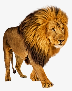 Swag Se Swagat Editing Background Png - Cb Edits Background Png #271399