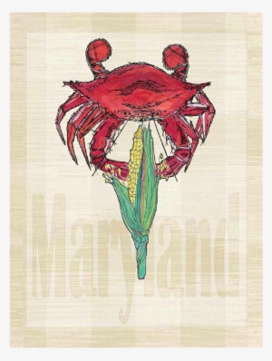 Christmas Island Red Crab #271916