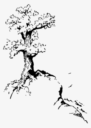 Black, Top, Outline, Silhouette, Tree, Roots, White - Tree On Hill Drawing #272133