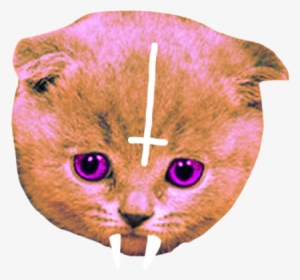 Tumblr Static - Картинки Png Тамблер #272233