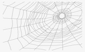 Navigation - Cobweb Illustration #272294
