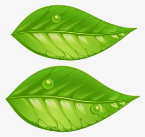 Green Leaves Png Transparent Clip Art Image - Green Leaves Clip Art Png #272517