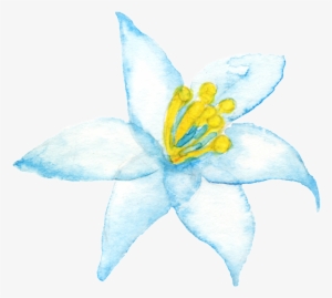 Yellow Branch Corazon Cartoon Png Transparente - Portable Network Graphics #273220