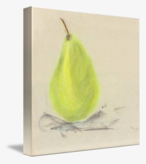 Still Life Photography Pear Drawing - Sketch #273286
