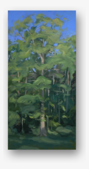 Oak In The Early Morning Plein Air - Oak #273565