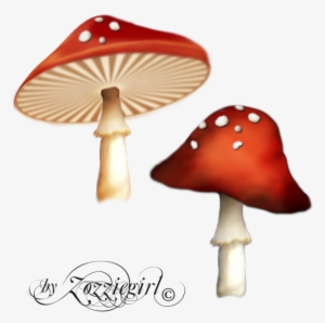 Free Icons Png - Enchanted Mushroom Png #273667