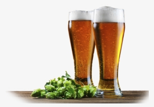 Two Beer Glasses And Hops Sitting On A Wooden Surface - Beer #273834