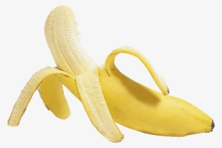 Banana - Pakistani Banana #274340