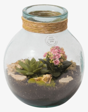 Succulent Terrarium - Flowerpot #275219