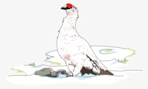 Chicken Computer Icons Pict Autocad Dxf User - Clipart Ptarmigan Png #275403