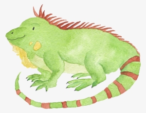 Watercolor Hand Drawn Animal Iguana Illustration #275408