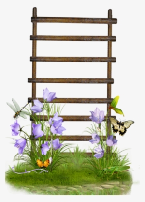 Ladder - Stair Garden Transparent #276000
