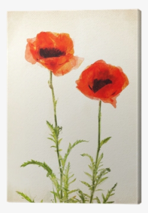 Mak Akwarela #276222