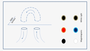 Solar Flares On The Other Hand Find Their Origin In - Magnetic Flux Tube Sunspot #276327