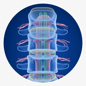 Real Patients - Human #276398