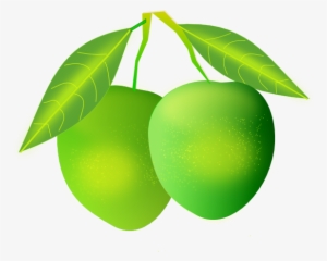How To Set Use Mango Clipart #276425