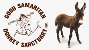 Good Samaritan Donkey Sanctuary #277068