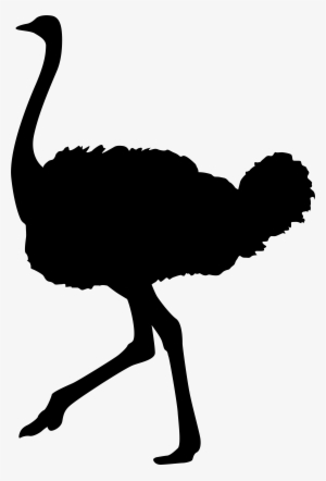 Ostrich Silhouette Png Transparent Clip Art Image - Ostrich Silhouette #277437