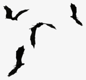 Stock - Dragon Silhouette Tattoo #277642