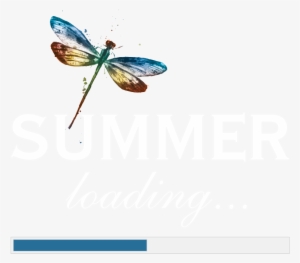 Summer Loading Logo - Delphinsommer Dvd #277948