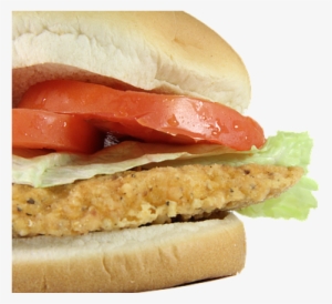 Spicy Chicken Sandwich Fried Chicken Sandw - แซ น วิ ช ไก่ ทอด #277991