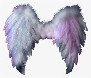 Angel Wings - White Feathered Wings Png #279506