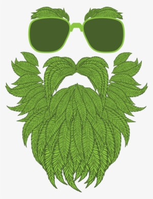 Origens Cannabis - Daddy Fat Sacks Weed #279845