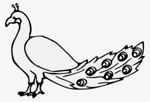 Details, Png - Rooster #2700360