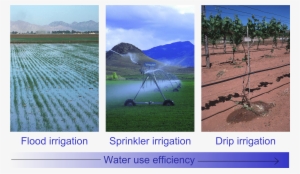 How Can We Save Water - Mark Olson #2701302