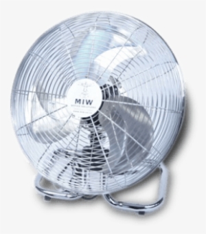 Fan #2701403