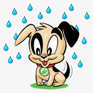 Use Metro Water Services As A Community Resource - Dog #2701427