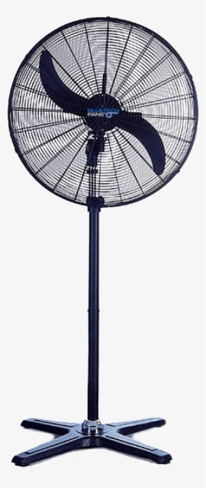 Pedestal Fan - Bluetech Fans #2701468