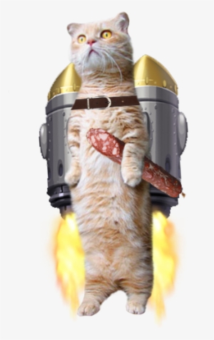 Standing Cat Png #2701597