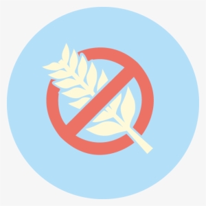 Filter Offbeat 24 Mar 2016 - Non-celiac Gluten Sensitivity #2701762