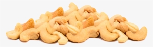 Cashew Kernels - Cashew #2701919